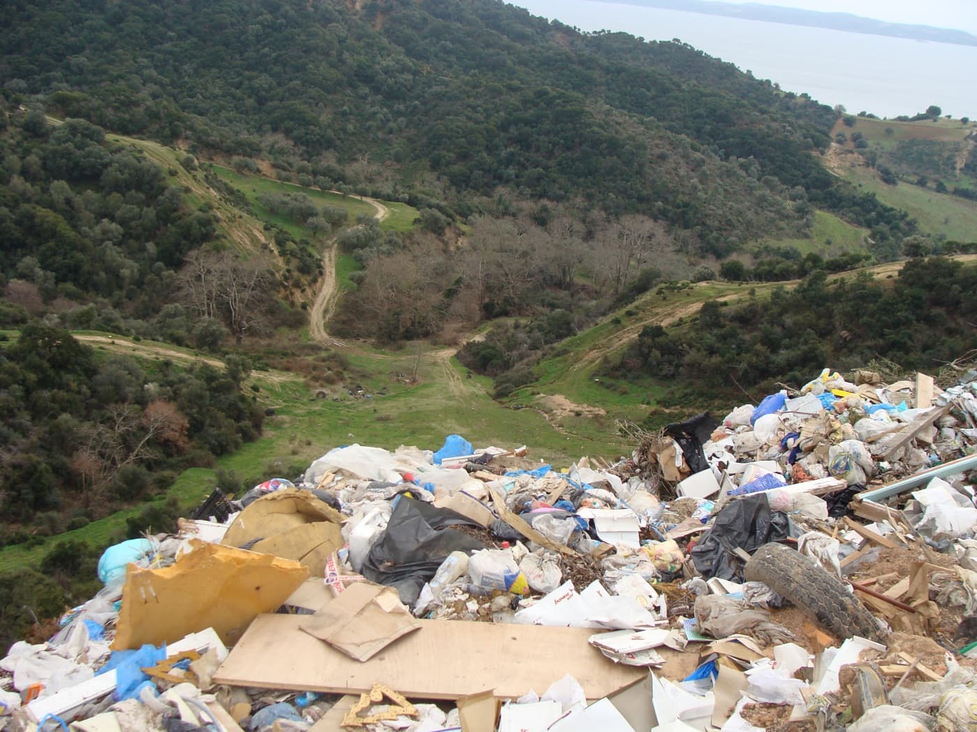 Αποκατάσταση Χ.Α.Δ.Α Ιερισσού, Δ.Αριστοτέλη